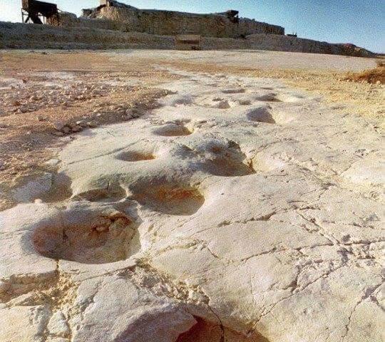 ألتامورا B&B Antico Castello المظهر الخارجي الصورة